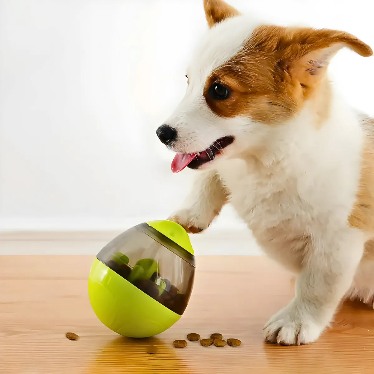 Brinquedo Interativo Para Cães com Dispenser para Petisco e Ração Verde