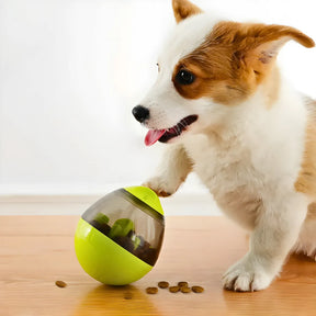 Brinquedo Interativo Para Cães com Dispenser para Petisco e Ração Verde